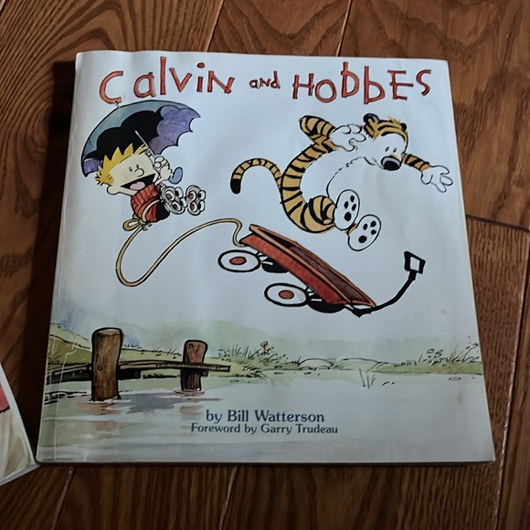 2 Calvin and hobbes comic book and weirdos from another planet collection - Picture 8 of 12
